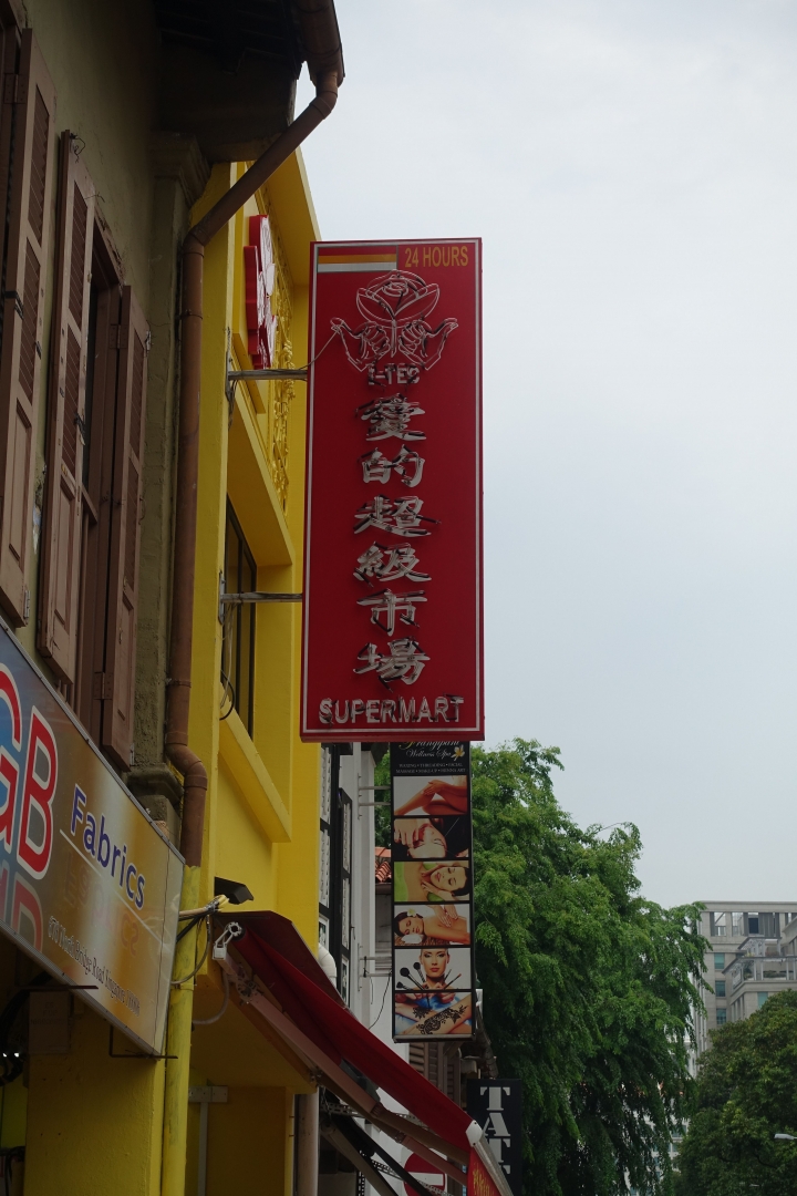 ＜新加坡＞2016新加坡知性之旅~烏節路、牛車水、武吉士、金融區和夜景