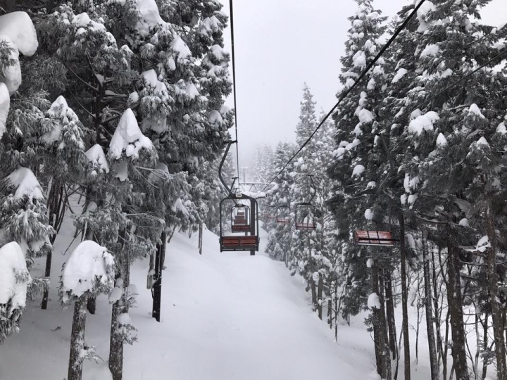500/人~遊日本東北7天6夜~藏王樹冰，滑雪，天空草莓吃到飽~