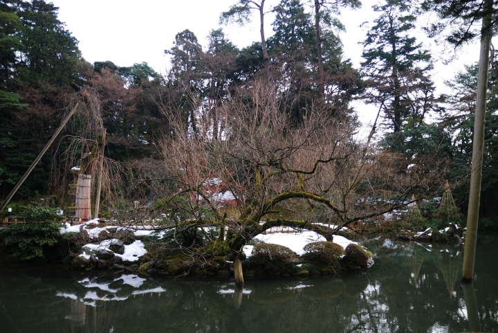 [冬之日本中部山區自助行]-金澤散策-東茶屋~兼六園~金澤城(一日自由乘車巴士)