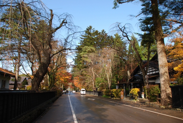 ＜日本＞2009日本賞楓～武家屋敷