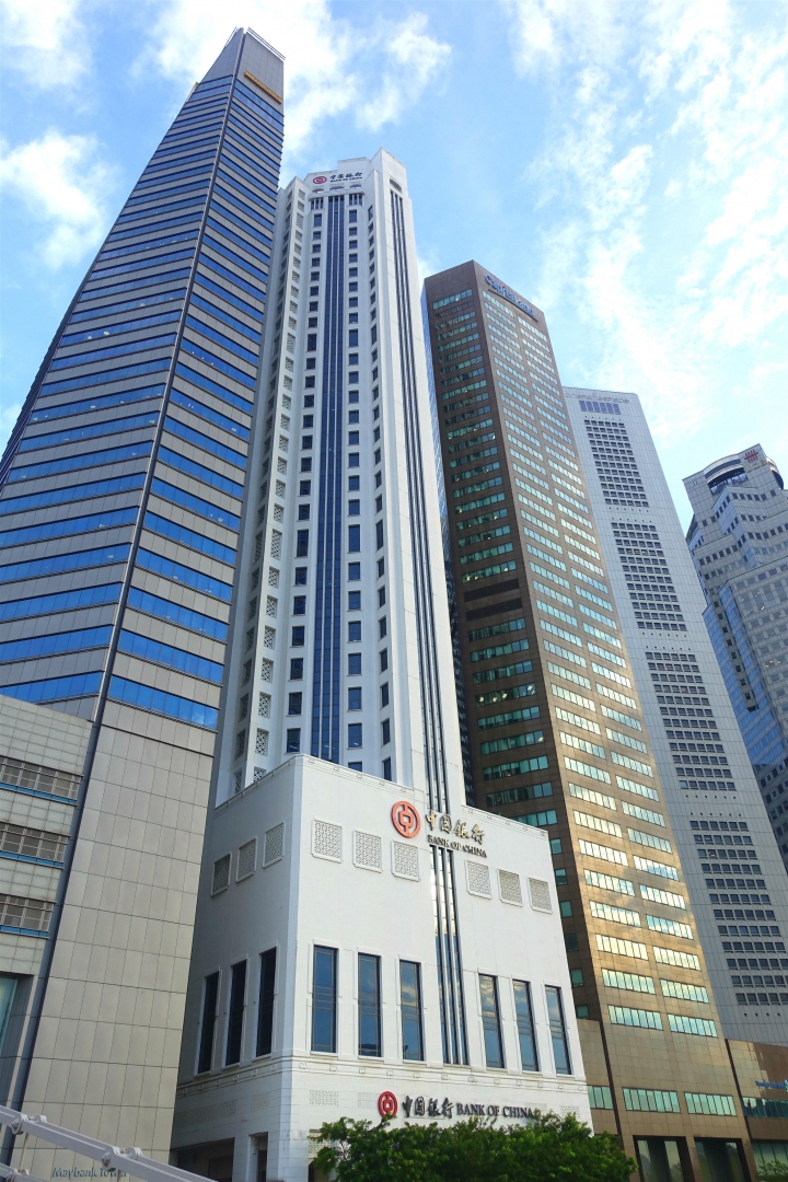 ＜新加坡＞2016新加坡知性之旅~烏節路、牛車水、武吉士、金融區和夜景