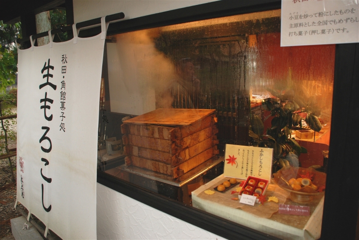 ＜日本＞2009日本賞楓～武家屋敷