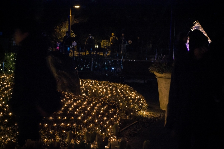 【行程。遊記】神奈川 江之島 被招待非業配的午後小旅行 青春與海的潮歌  湘南寶石 湘南の宝石 江之島光色祭典 伴手禮 餐廳 吃飯 古蹟 景點 推薦 車票