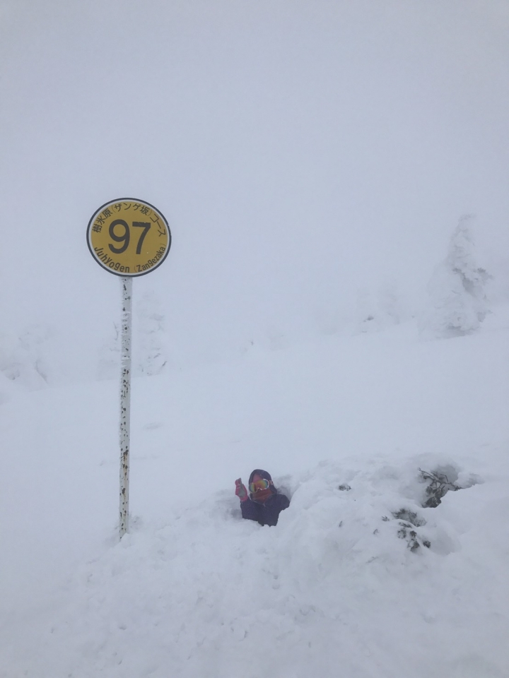 500/人~遊日本東北7天6夜~藏王樹冰，滑雪，天空草莓吃到飽~