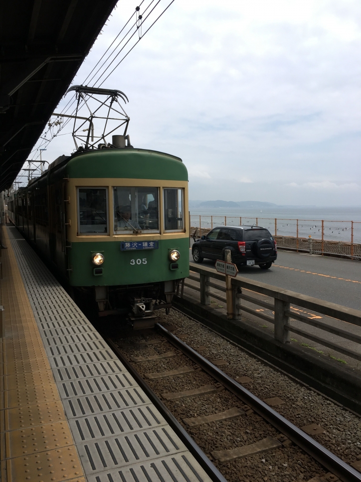 【遊。2016鎌倉】江之島、鎌倉大佛、長谷觀音寺、鶴岡八幡宮 一日遊