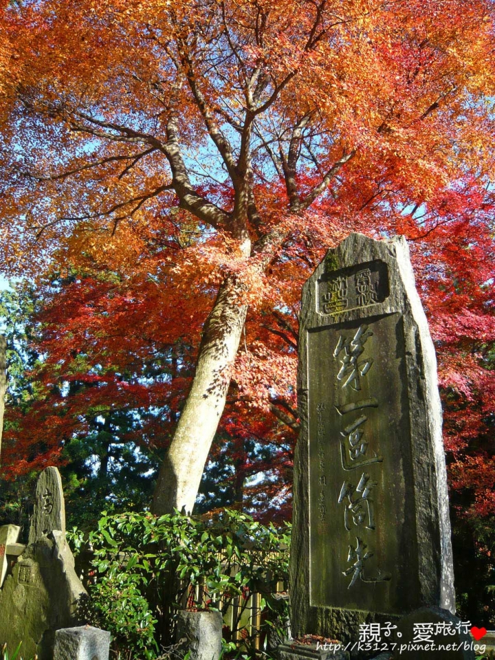 【日本。東京】高尾山賞楓紅～登高遠眺遊山趣＠新宿出發，60分鐘內抵達！賞楓名所～