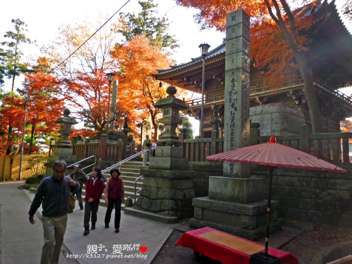 【日本。東京】高尾山賞楓紅～登高遠眺遊山趣＠新宿出發，60分鐘內抵達！賞楓名所～