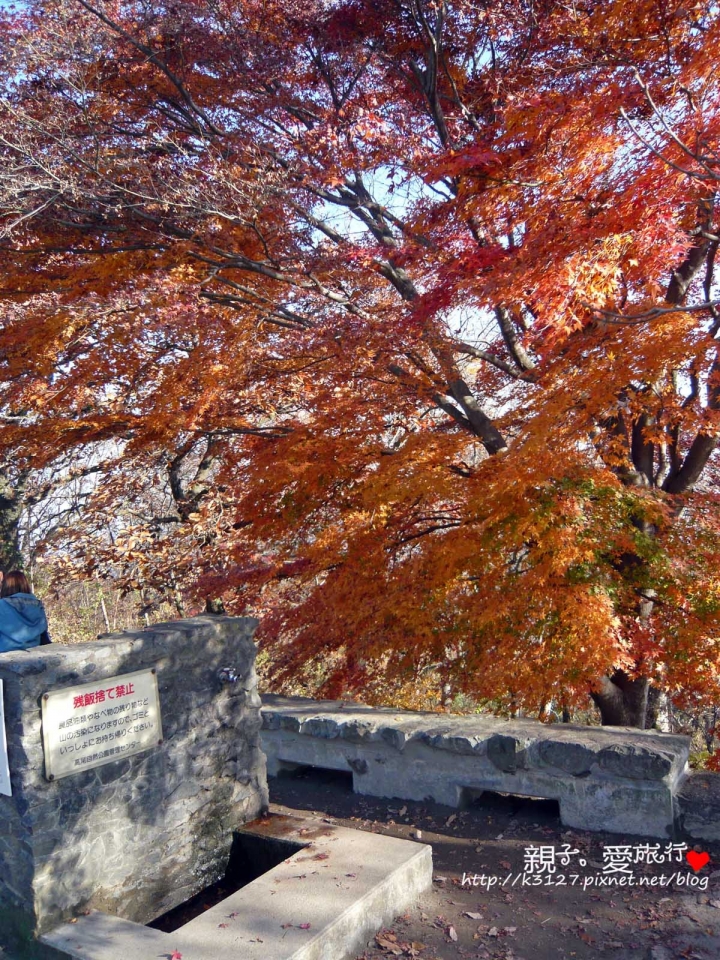 【日本。東京】高尾山賞楓紅～登高遠眺遊山趣＠新宿出發，60分鐘內抵達！賞楓名所～