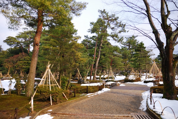 [冬之日本中部山區自助行]-金澤散策-東茶屋~兼六園~金澤城(一日自由乘車巴士)