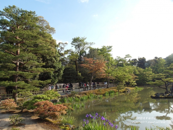 (京都景點) 鹿苑寺-金閣寺 ❤ 京都必遊的金碧輝煌絕美景點，三島由紀夫筆下的美與人生