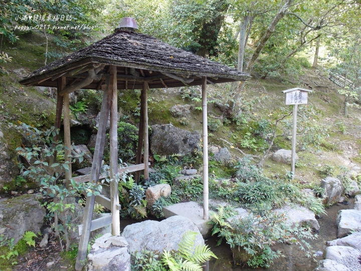 (京都景點) 鹿苑寺-金閣寺 ❤ 京都必遊的金碧輝煌絕美景點，三島由紀夫筆下的美與人生