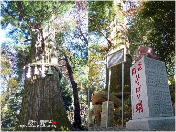 【日本。東京】高尾山賞楓紅～登高遠眺遊山趣＠新宿出發，60分鐘內抵達！賞楓名所～