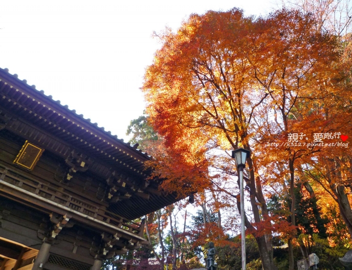 【日本。東京】高尾山賞楓紅～登高遠眺遊山趣＠新宿出發，60分鐘內抵達！賞楓名所～