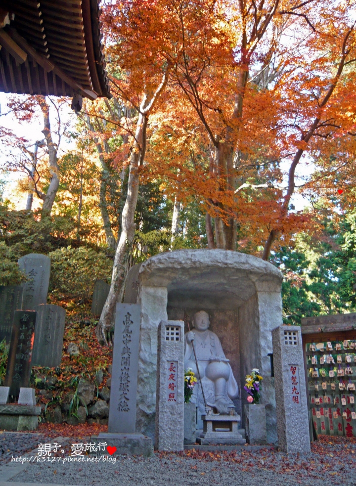 【日本。東京】高尾山賞楓紅～登高遠眺遊山趣＠新宿出發，60分鐘內抵達！賞楓名所～
