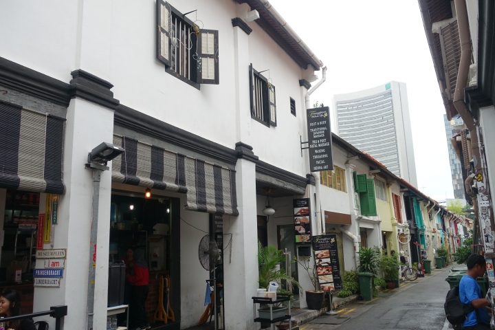 ＜新加坡＞2016新加坡知性之旅~烏節路、牛車水、武吉士、金融區和夜景