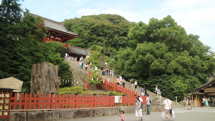 【遊。2016鎌倉】江之島、鎌倉大佛、長谷觀音寺、鶴岡八幡宮 一日遊