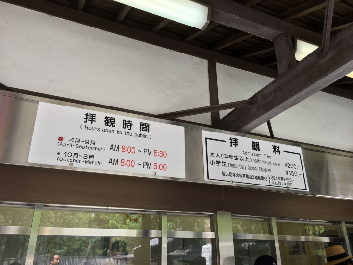 【遊。2016鎌倉】江之島、鎌倉大佛、長谷觀音寺、鶴岡八幡宮 一日遊