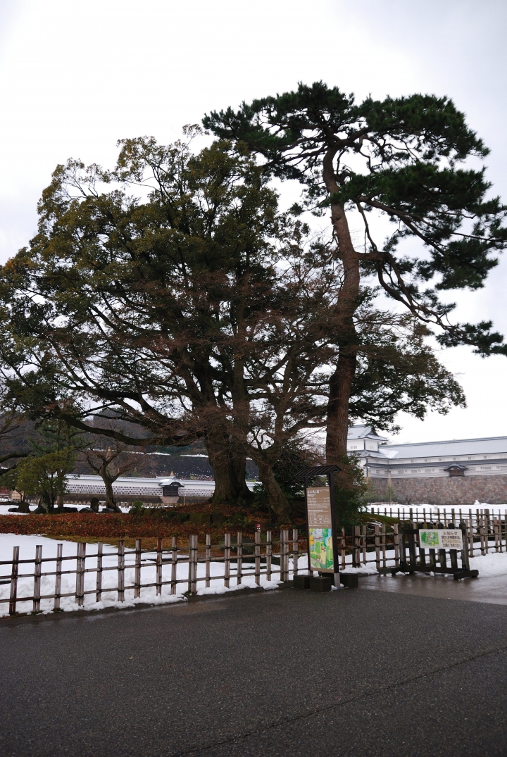[冬之日本中部山區自助行]-金澤散策-東茶屋~兼六園~金澤城(一日自由乘車巴士)