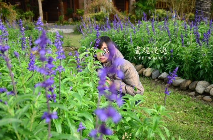 ［台南柳營。景點］南元花園休閒農場－闔家歡樂，情侶約會的後花園