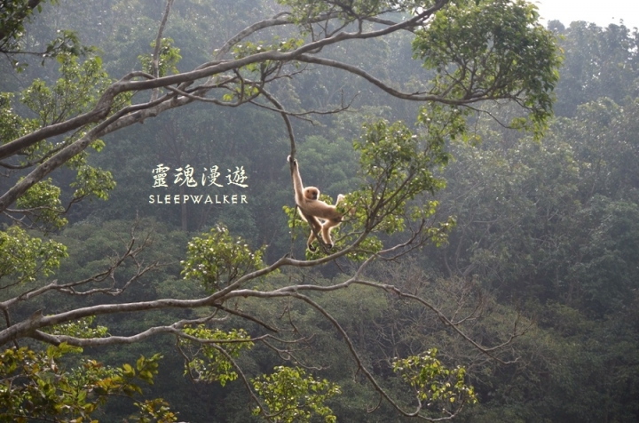 ［台南柳營。景點］南元花園休閒農場－闔家歡樂，情侶約會的後花園