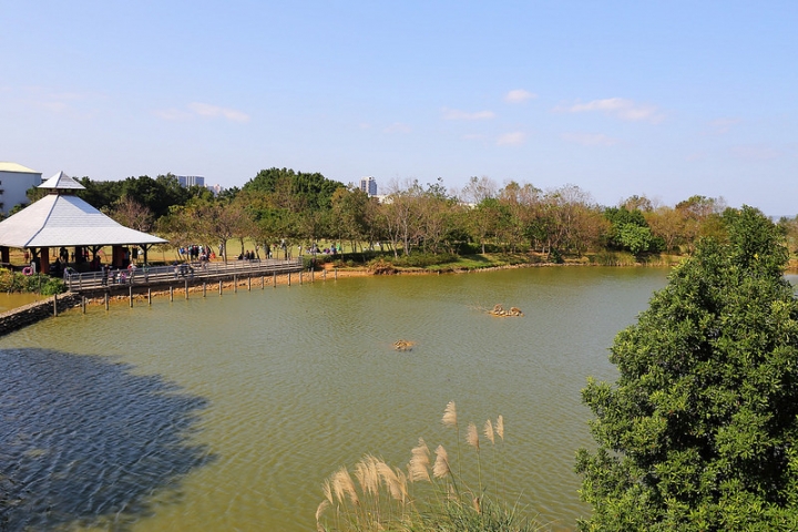 【親子景點】桃園八德埤塘自然生態公園。能夠觀察生態、寓教於樂的野餐放風好去處