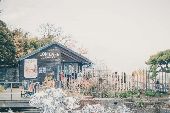 【行程。遊記】神奈川 江之島 被招待非業配的午後小旅行 青春與海的潮歌  湘南寶石 湘南の宝石 江之島光色祭典 伴手禮 餐廳 吃飯 古蹟 景點 推薦 車票