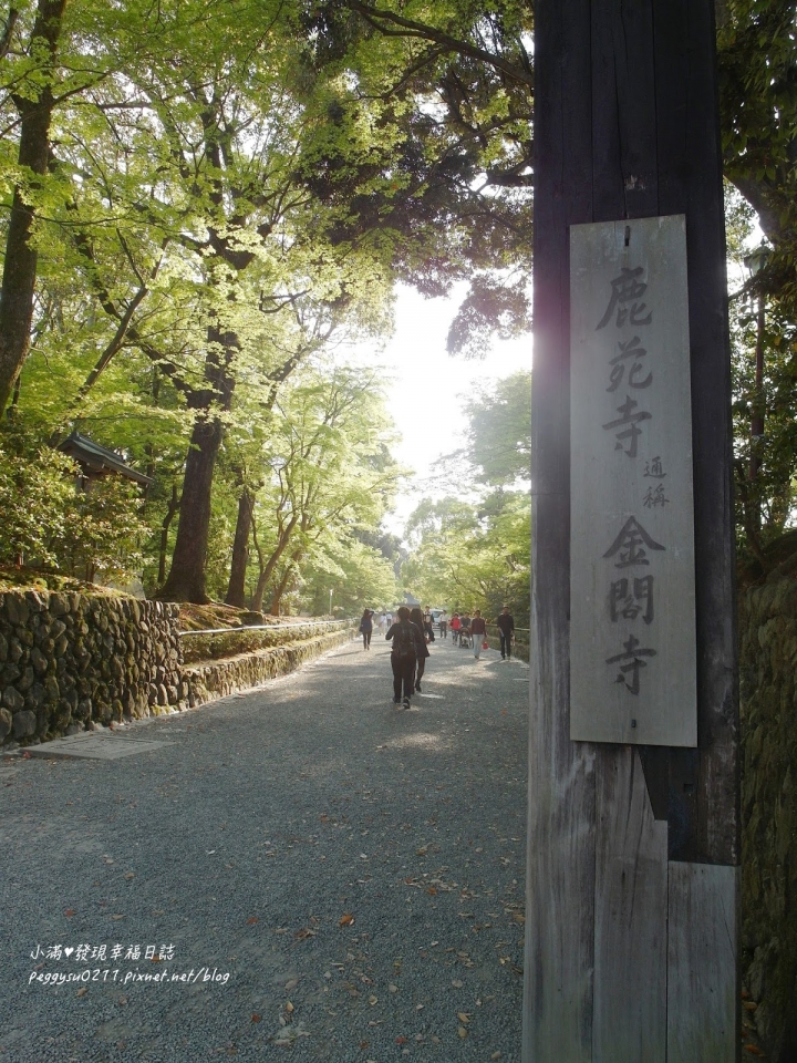 (京都景點) 鹿苑寺-金閣寺 ❤ 京都必遊的金碧輝煌絕美景點，三島由紀夫筆下的美與人生