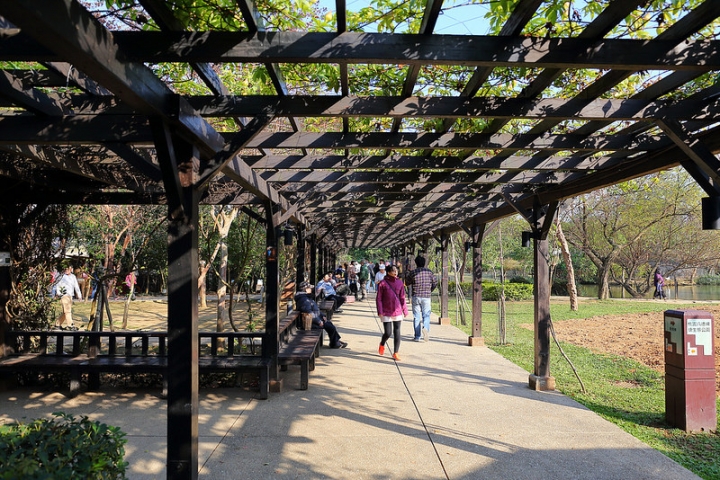 【親子景點】桃園八德埤塘自然生態公園。能夠觀察生態、寓教於樂的野餐放風好去處