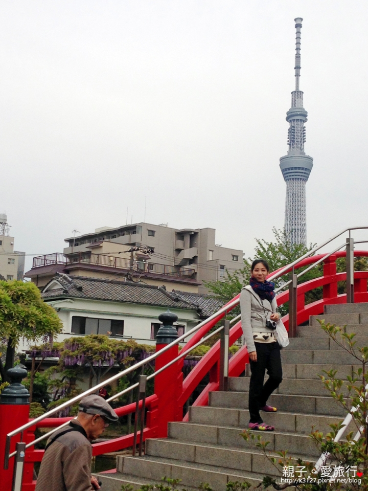 【日本。東京】龜戶天神社賞紫藤花～JR總武線上，都市中的世外桃源@還可讓晴空塔入鏡，超殺底片的好拍美景！