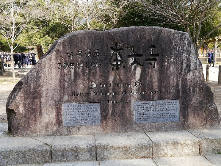 來奈良東大寺享受被小(老)鹿包圍的感覺
