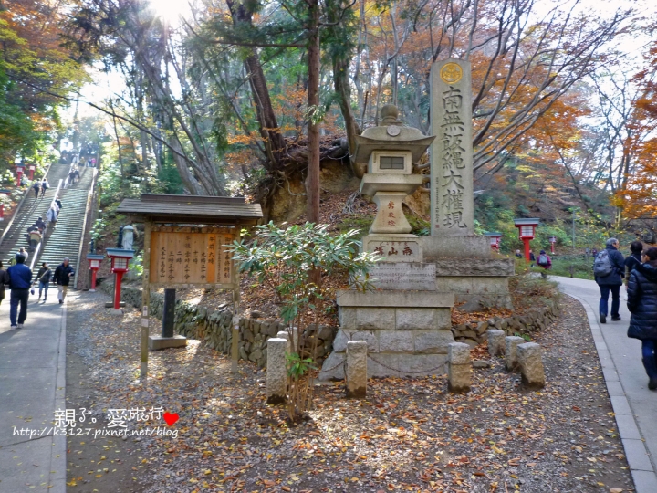 【日本。東京】高尾山賞楓紅～登高遠眺遊山趣＠新宿出發，60分鐘內抵達！賞楓名所～