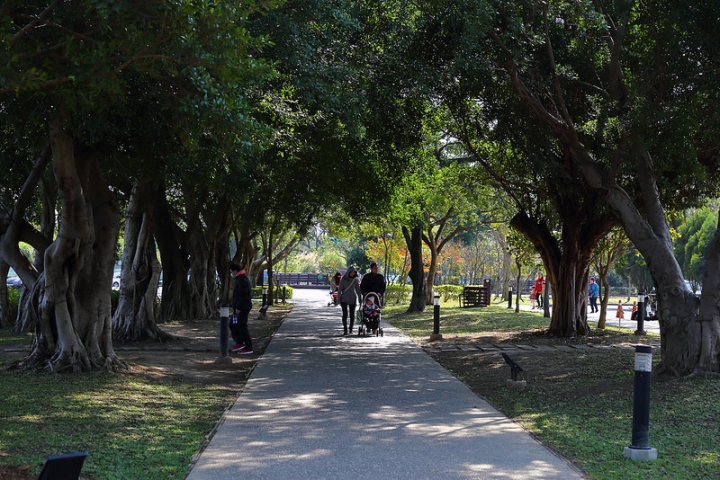 【親子景點】桃園八德埤塘自然生態公園。能夠觀察生態、寓教於樂的野餐放風好去處