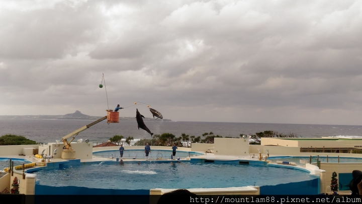沖繩自由行【景點】沖繩美麗水族館 + 交通小提示