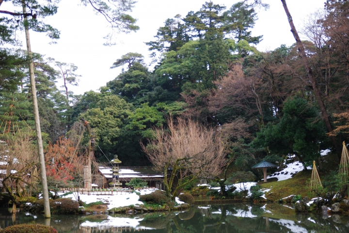 [冬之日本中部山區自助行]-金澤散策-東茶屋~兼六園~金澤城(一日自由乘車巴士)