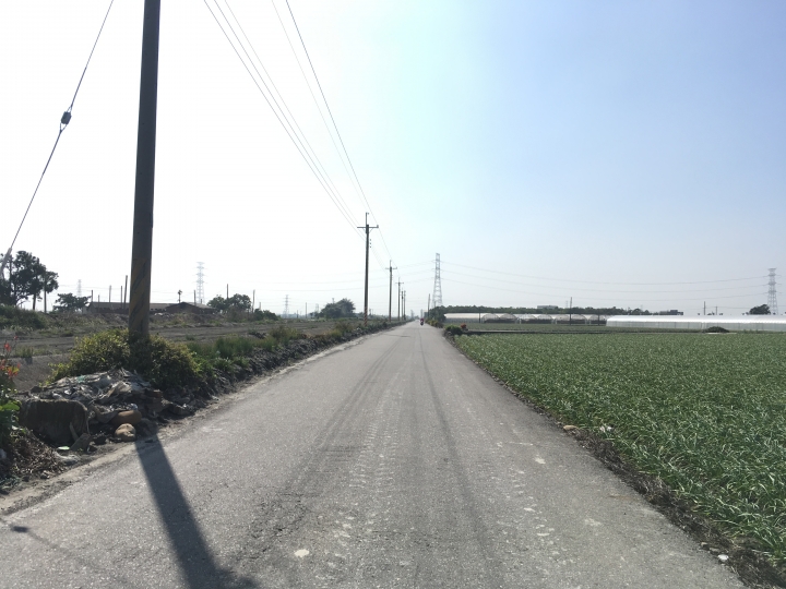 SSCX 單速車田字環島前傳 (完)