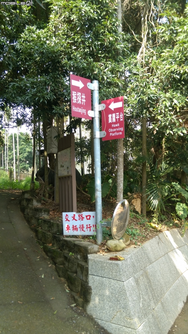 南投賞鷹平台散步遊