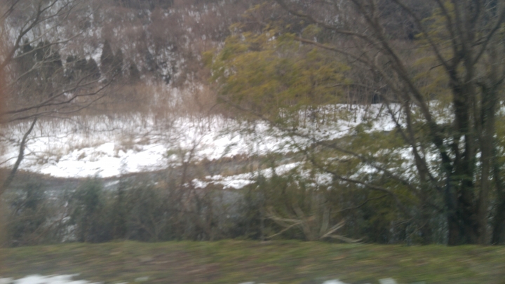 [2017.01.28-02.02]廣島、宮島嚴島神社、岩國錦帶橋、岡山後樂園、倉敷、松江城、出雲大社、大阪天王寺之旅(大推Hotel & Resort Bali Tower Tennoji！！！)