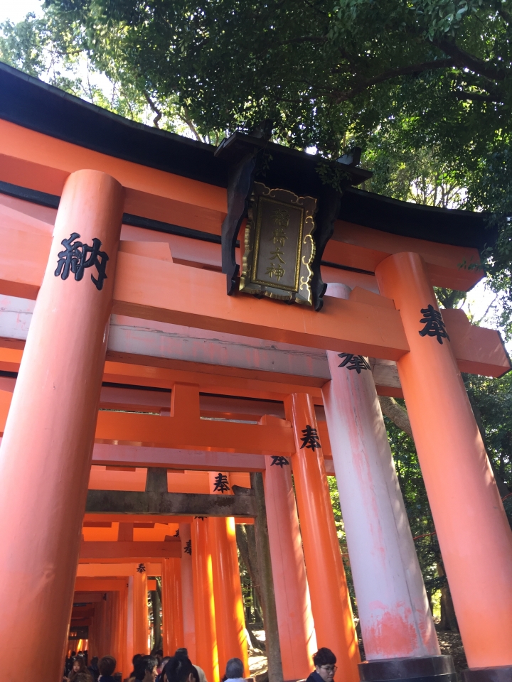 大眼妹之不能再遠了關西七日遊 DAY2 日記