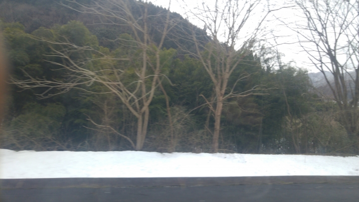 [2017.01.28-02.02]廣島、宮島嚴島神社、岩國錦帶橋、岡山後樂園、倉敷、松江城、出雲大社、大阪天王寺之旅(大推Hotel & Resort Bali Tower Tennoji！！！)