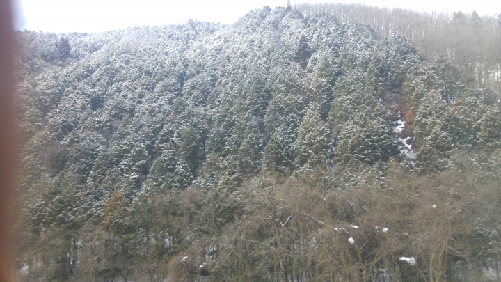 [2017.01.28-02.02]廣島、宮島嚴島神社、岩國錦帶橋、岡山後樂園、倉敷、松江城、出雲大社、大阪天王寺之旅(大推Hotel & Resort Bali Tower Tennoji！！！)
