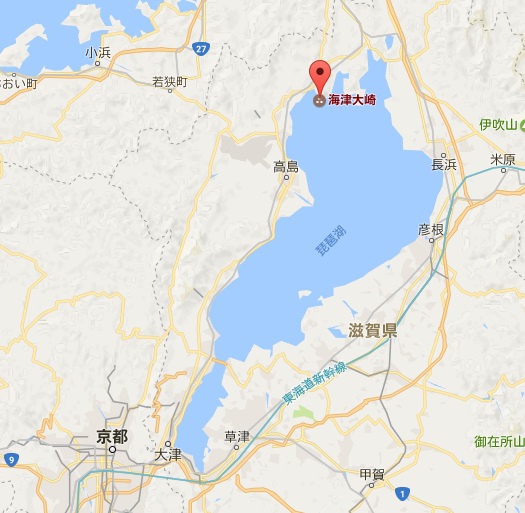 【滋賀】海津大崎，琵琶湖畔賞櫻名所