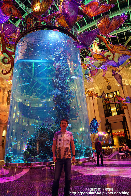 【澳門之旅】美高梅酒店MGM MACAU 住宿體驗，大廳打上燈光後，美得不可思議，超夢幻！