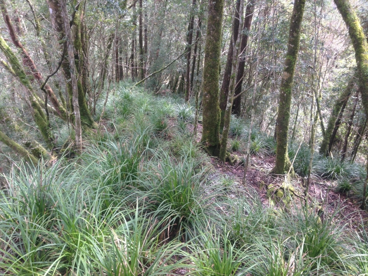 浪旅：寒溪－翠峰湖一日行