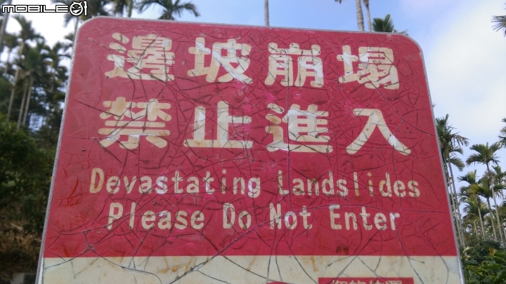 南投賞鷹平台散步遊