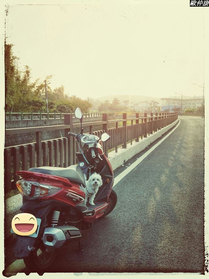 (第97批圖) LG G4 &G5&V10&v20 日夜拍研究團 精選作品2017.3.9