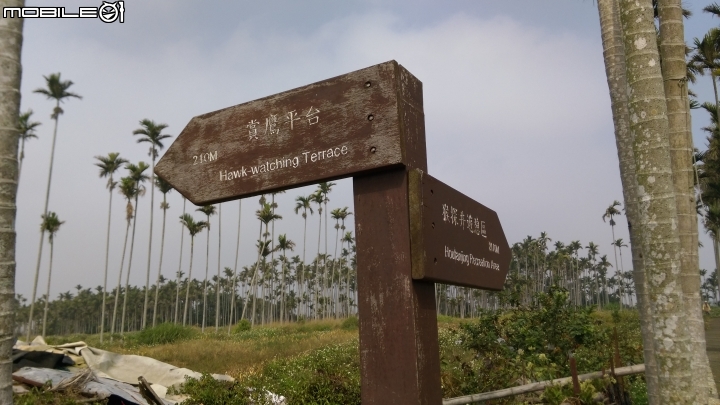 南投賞鷹平台散步遊