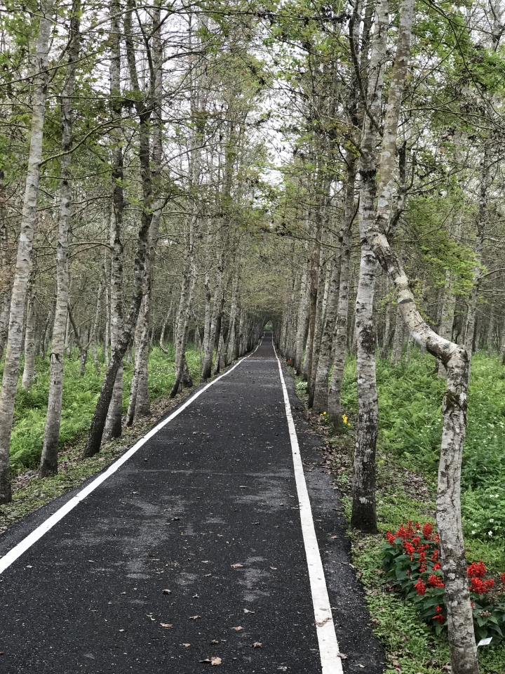 225環島苦行僧苦難之旅-下