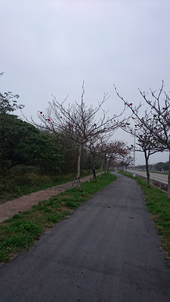 情字這條路…