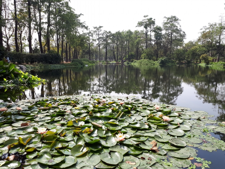 Samsung Galaxy A7 手機試用之秘境拍拍拍