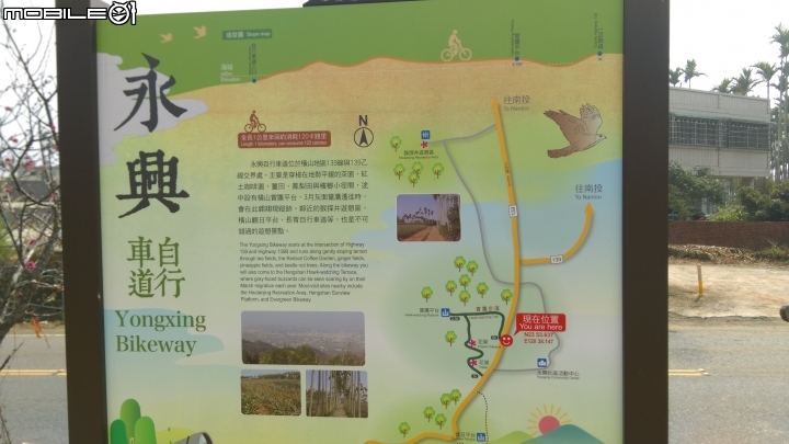 南投賞鷹平台散步遊
